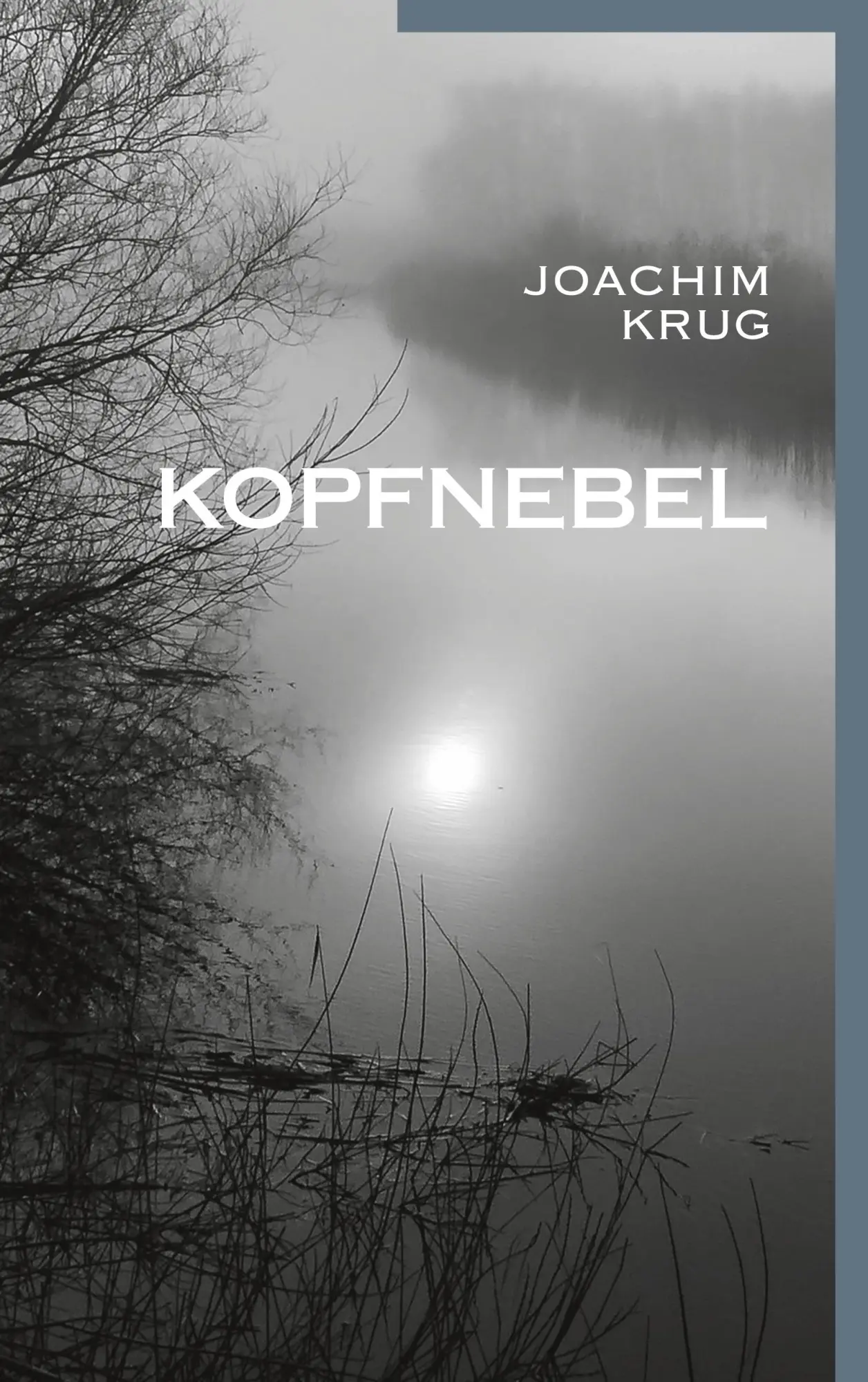 Cover: 9783740766382 | Kopfnebel | Joachim Krug | Taschenbuch | 544 S. | Deutsch | 2020