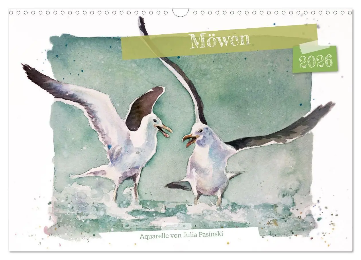 Cover: 9783457546482 | Möwen - Aquarelle von Julia Pasinski (Wandkalender 2026 DIN A3...