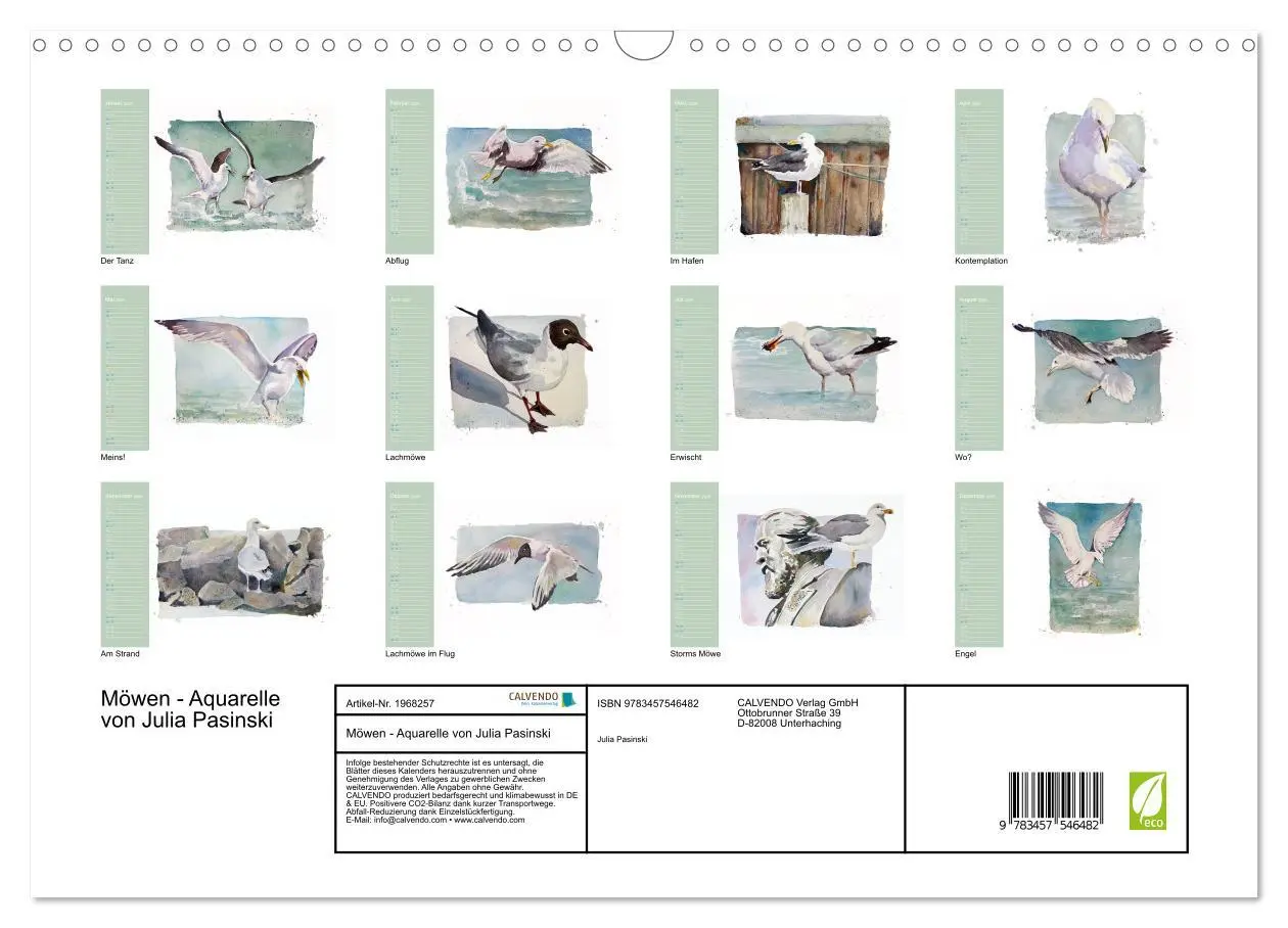 Bild: 9783457546482 | Möwen - Aquarelle von Julia Pasinski (Wandkalender 2026 DIN A3...