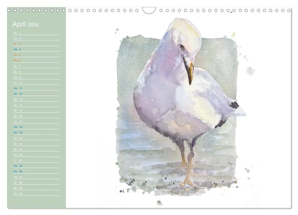 Bild: 9783457546482 | Möwen - Aquarelle von Julia Pasinski (Wandkalender 2026 DIN A3...