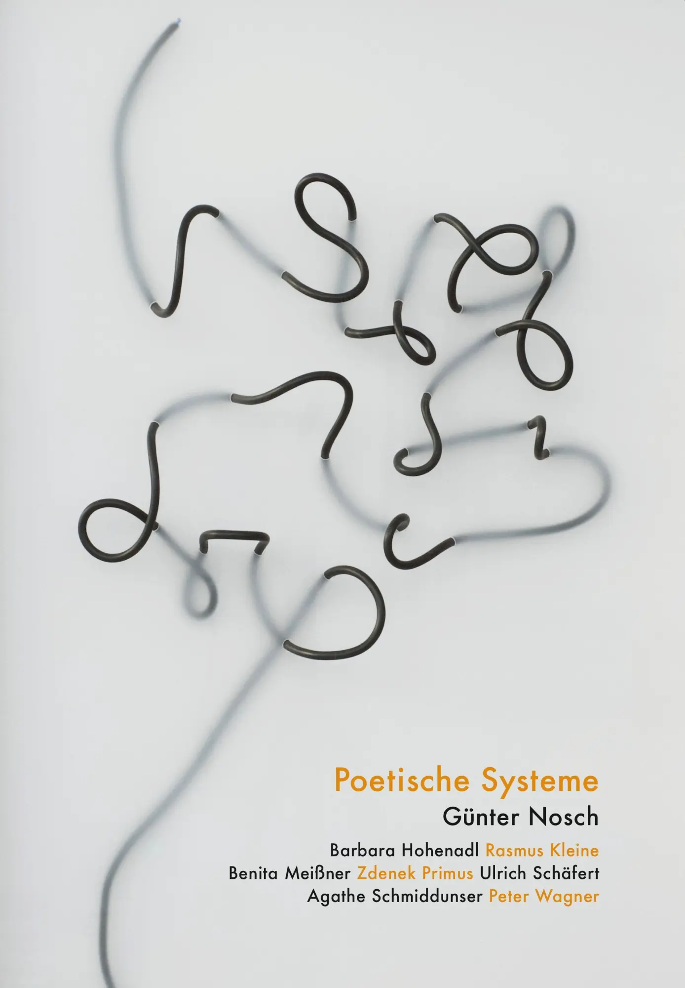 Cover: 9783884236482 | Poetische Systeme | Barbara/Kleine, Rasmus/Meißner, Benita Hohenadl