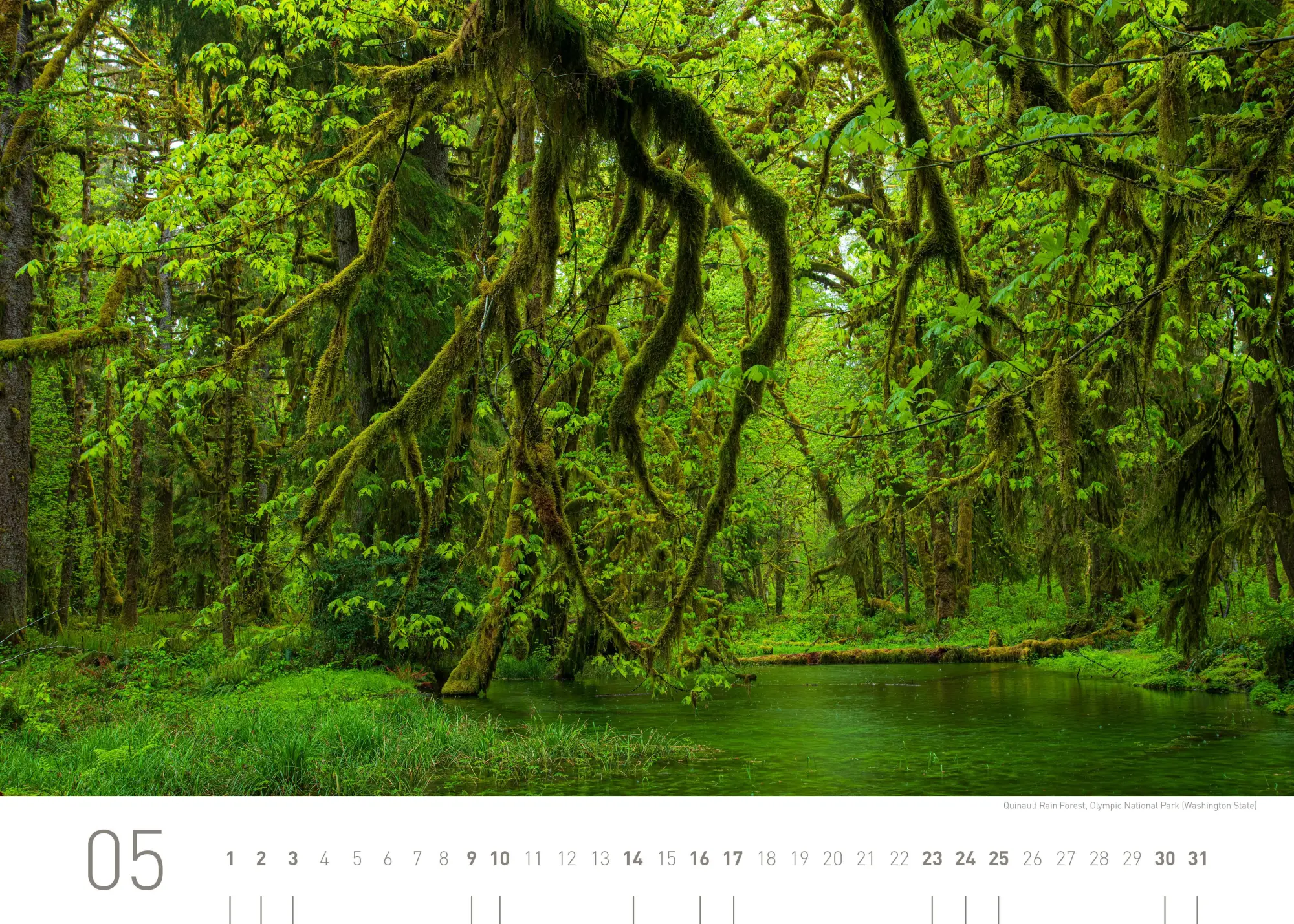 Bild: 9783968556482 | USA Exklusivkalender 2026 | Limited Edition (70 x 50 cm) | Heeb | 2026