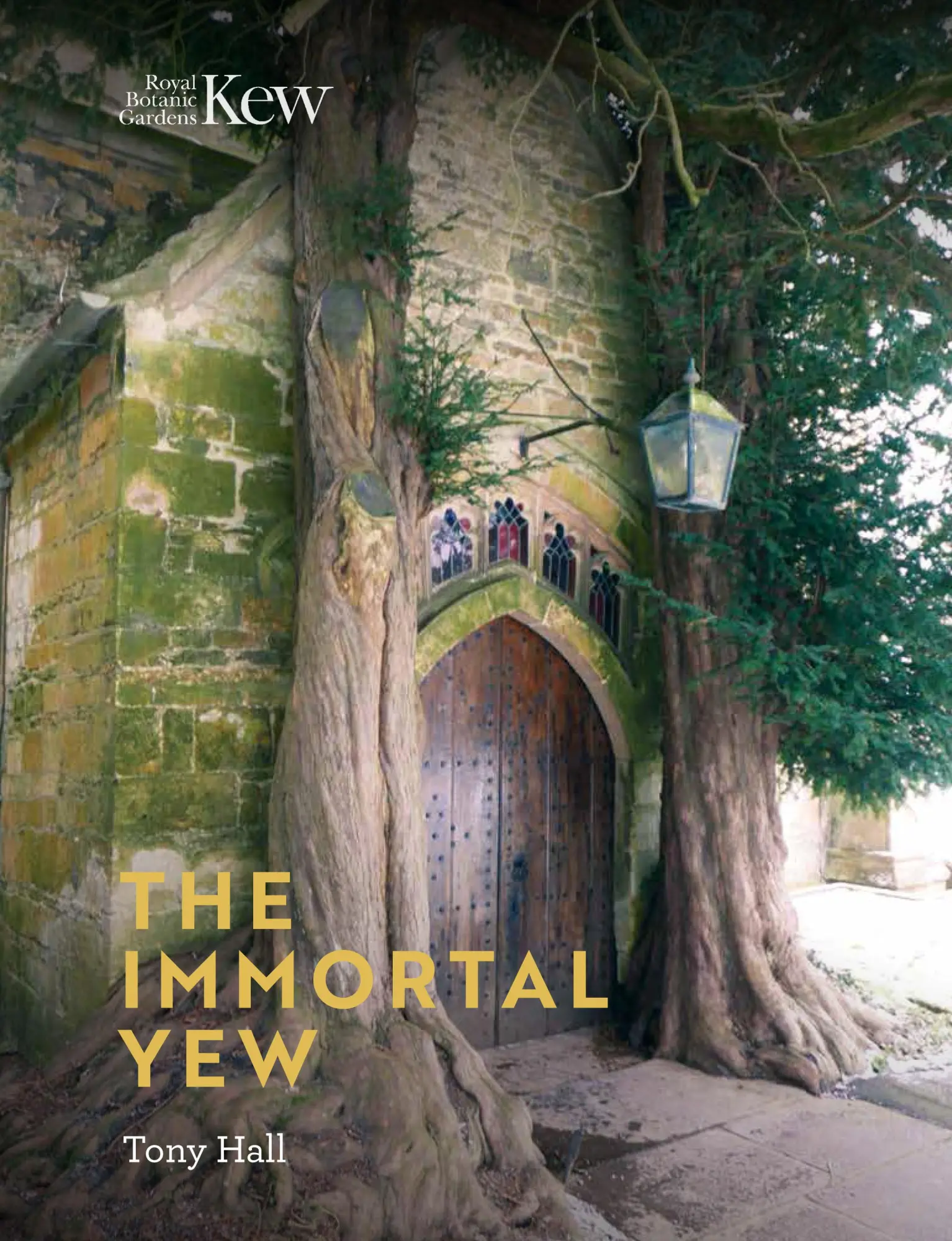 Cover: 9781842466582 | The Immortal Yew | Tony Hall | Buch | Gebunden | Englisch | 2019