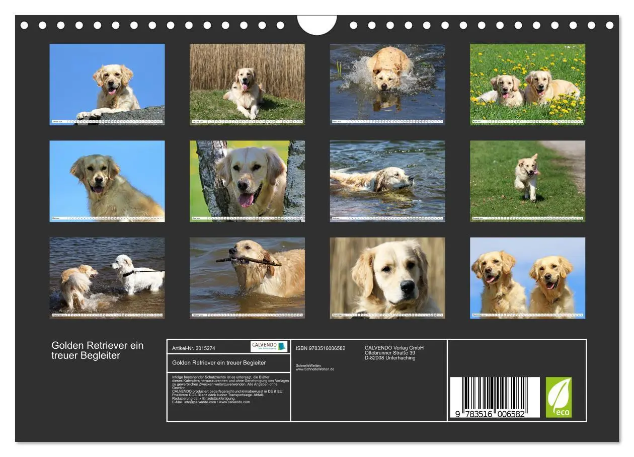 Bild: 9783516006582 | Golden Retriever ein treuer Begleiter (Wandkalender 2026 DIN A4...