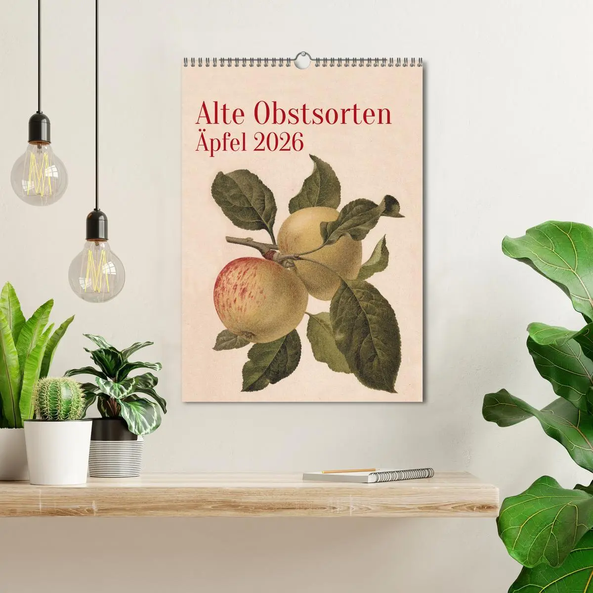 Bild: 9783516246582 | Alte Obstsorten - Äpfel 2026 (Wandkalender 2026 DIN A3 hoch),...