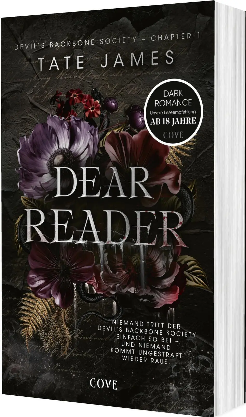 Cover: 9783551586582 | Dear Reader (Devil's Backbone Society 1) | Tate James | Taschenbuch