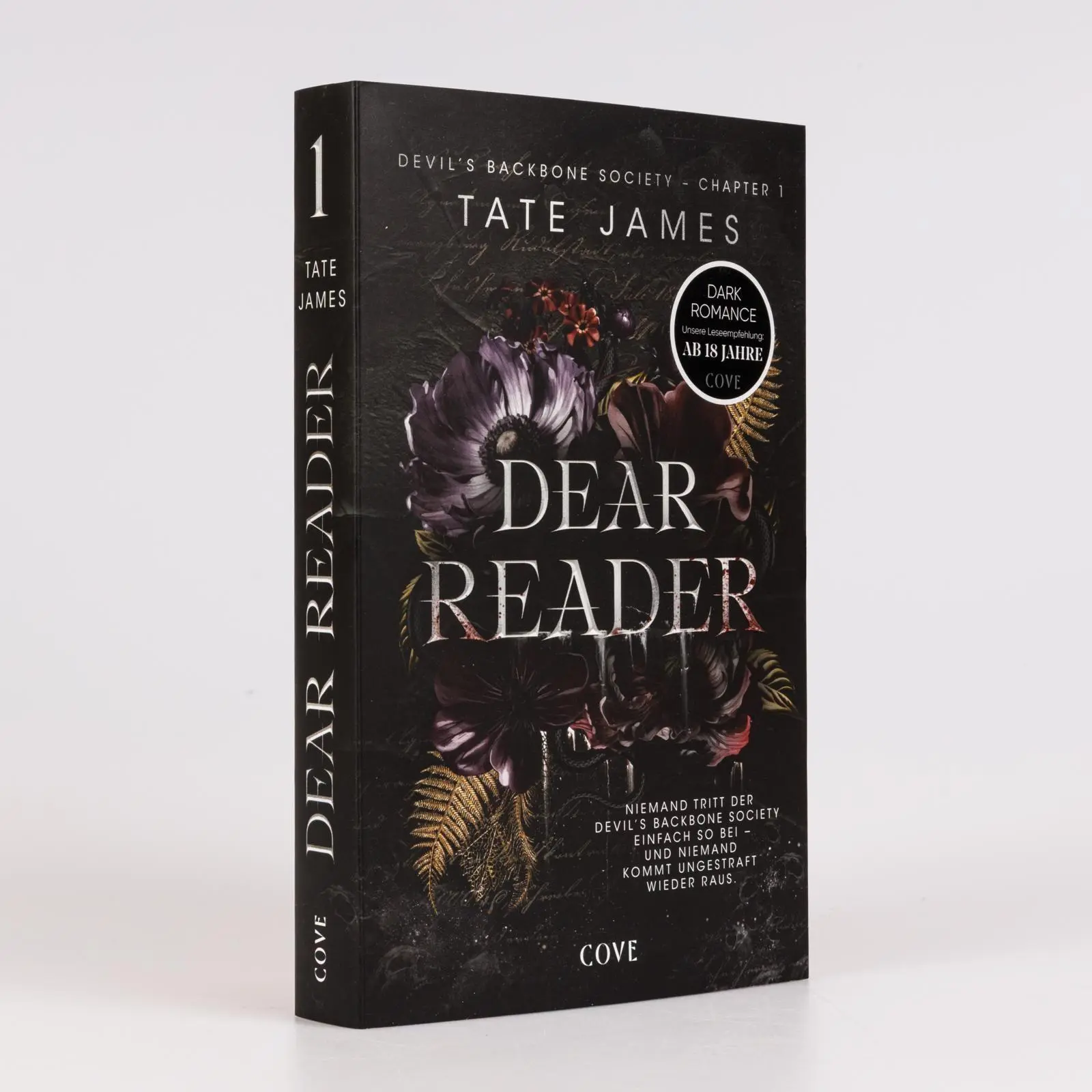 Bild: 9783551586582 | Dear Reader (Devil's Backbone Society 1) | Tate James | Taschenbuch
