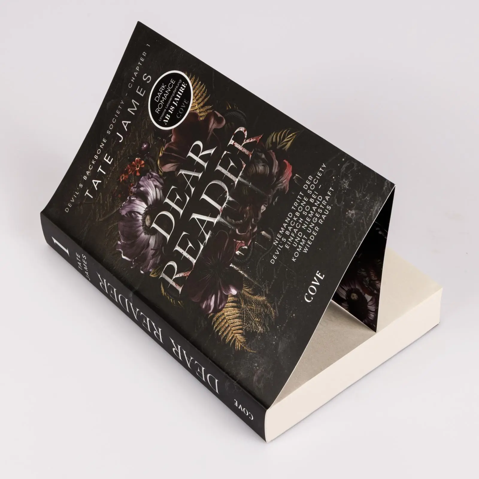 Bild: 9783551586582 | Dear Reader (Devil's Backbone Society 1) | Tate James | Taschenbuch