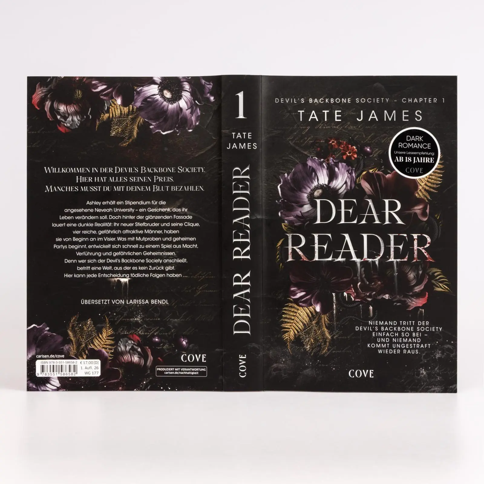 Bild: 9783551586582 | Dear Reader (Devil's Backbone Society 1) | Tate James | Taschenbuch