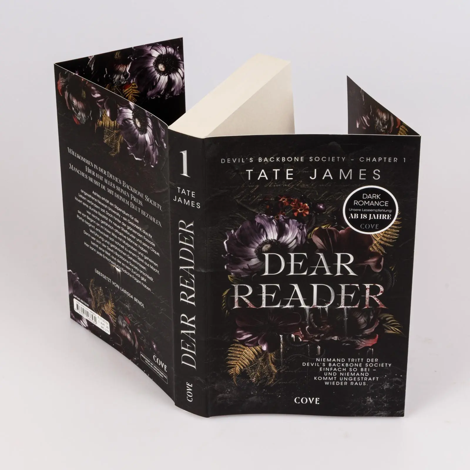 Bild: 9783551586582 | Dear Reader (Devil's Backbone Society 1) | Tate James | Taschenbuch