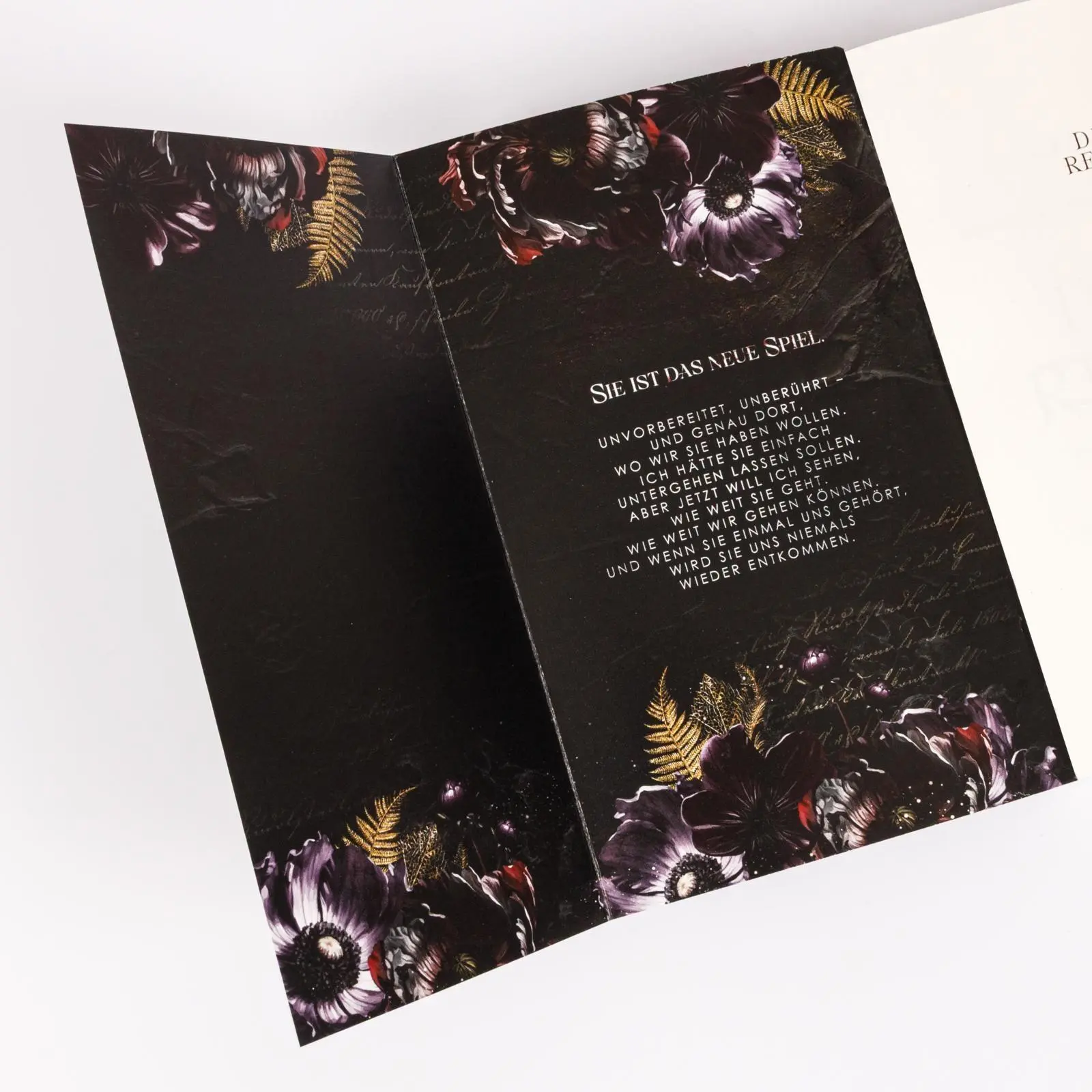 Bild: 9783551586582 | Dear Reader (Devil's Backbone Society 1) | Tate James | Taschenbuch