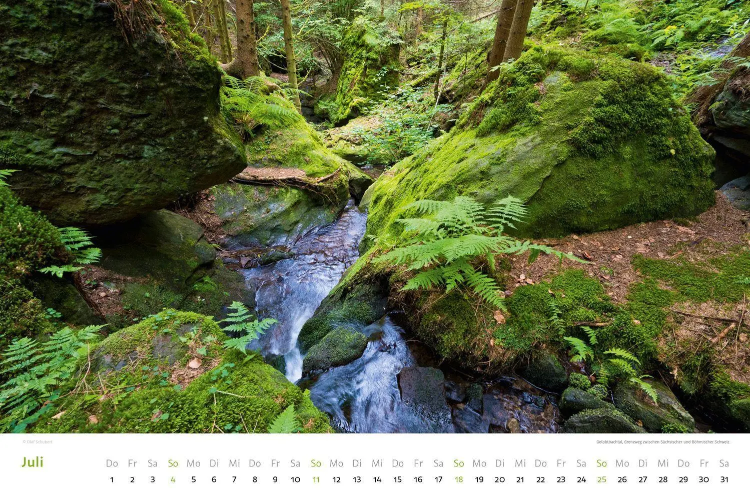 Bild: 9783938916582 | Kalender Sächsische &amp; Böhmische Schweiz 2027 | Wandkalender 45 x 30 cm