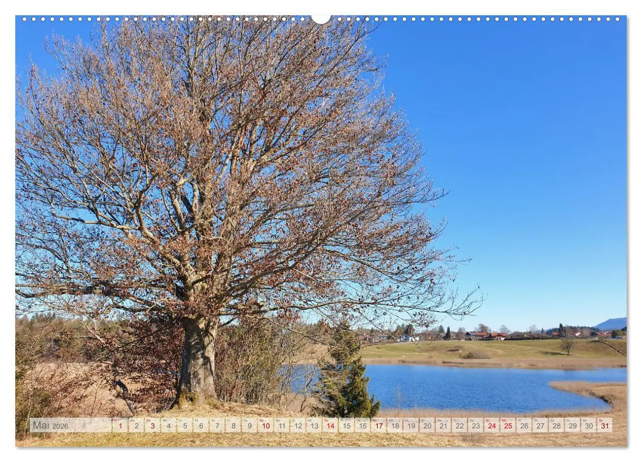 Bild: 9783457526682 | Seen am Alpenrand - Bilderbuchlandschaften in Oberbayern...