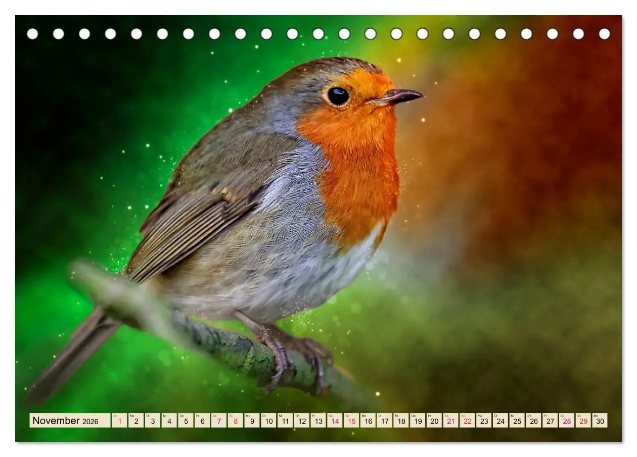 Bild: 9783457836682 | Bei uns im Garten - Rotkehlchen (Tischkalender 2026 DIN A5 quer),...