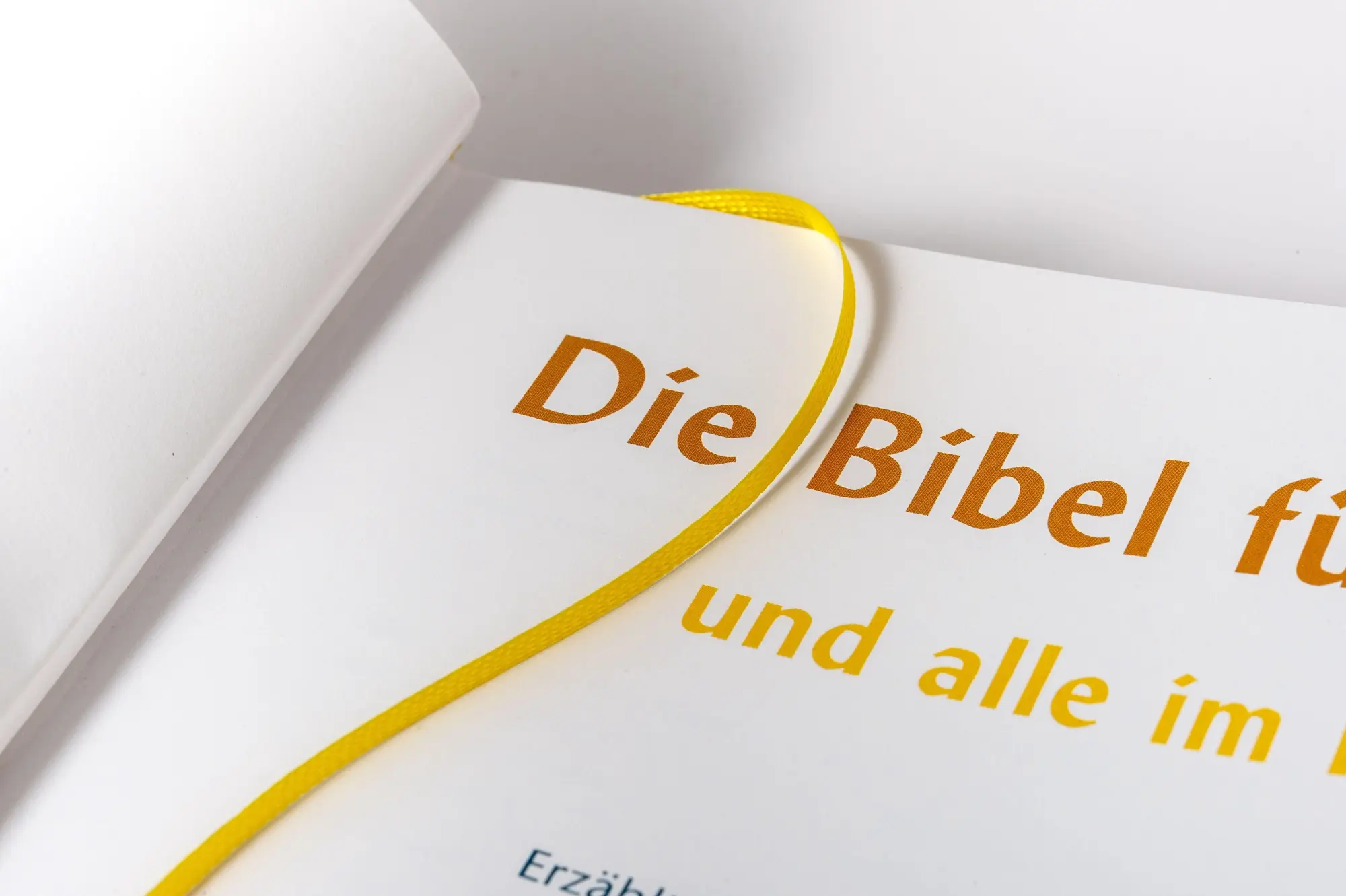 Bild: 9783466366682 | Die Bibel für Kinder und alle im Haus | Rainer Oberthür | Buch | 2004
