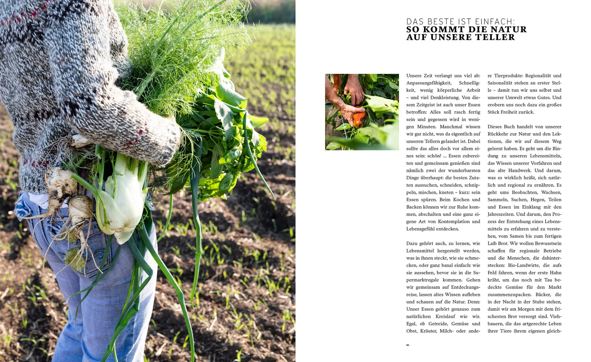 Bild: 9783706626682 | Rezepte für eine gute Zeit | Ernten. Kochen. Teilen. | Buch | 328 S.
