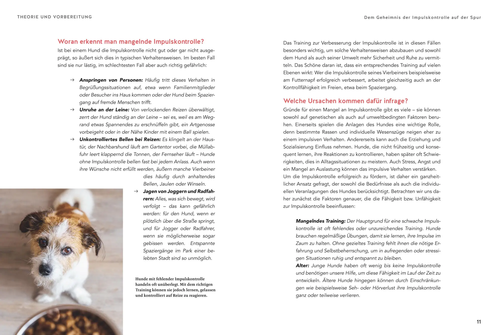 Bild: 9783833896682 | Impulskontrolle? Kein Problem! | André Henkelmann | Taschenbuch | 2025