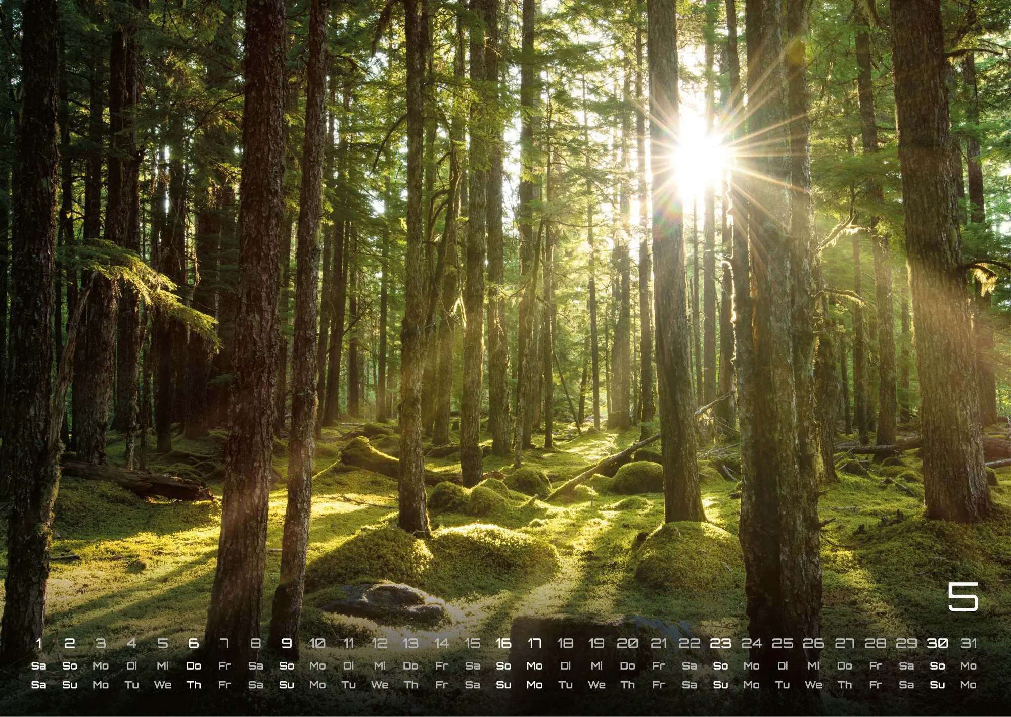 Bild: 9783986736682 | Moments - wundervolle Momentaufnahmen - 2027 - Kalender DIN A3 | de