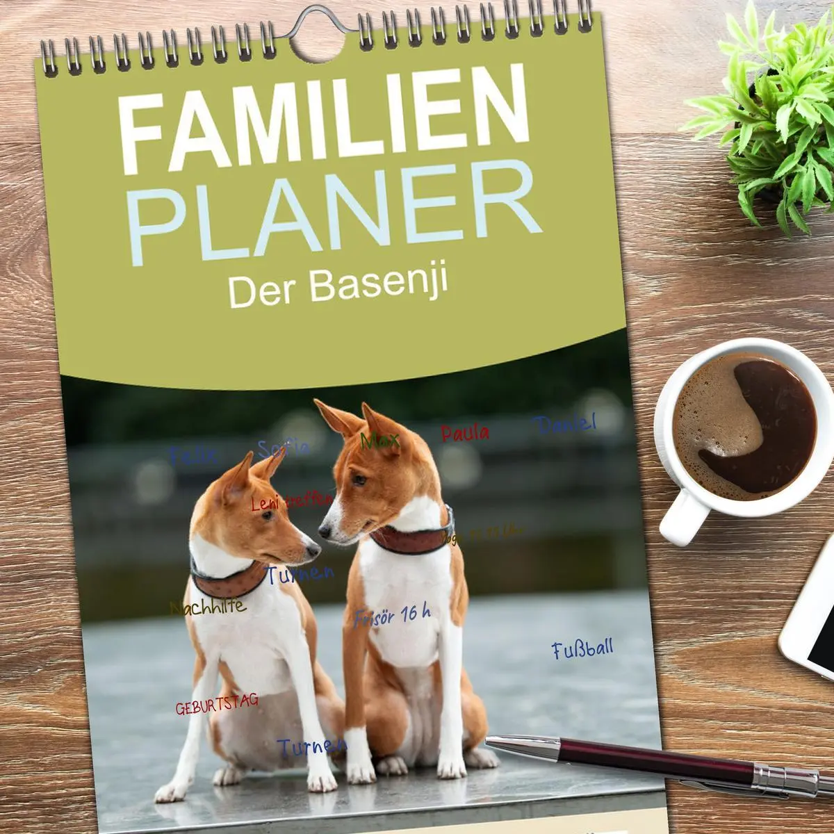 Bild: 9783516606782 | Familienplaner 2026 - Der Basenji mit 5 Spalten (Wandkalender, 21 x...
