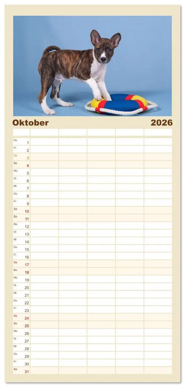Bild: 9783516606782 | Familienplaner 2026 - Der Basenji mit 5 Spalten (Wandkalender, 21 x...