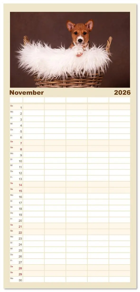 Bild: 9783516606782 | Familienplaner 2026 - Der Basenji mit 5 Spalten (Wandkalender, 21 x...