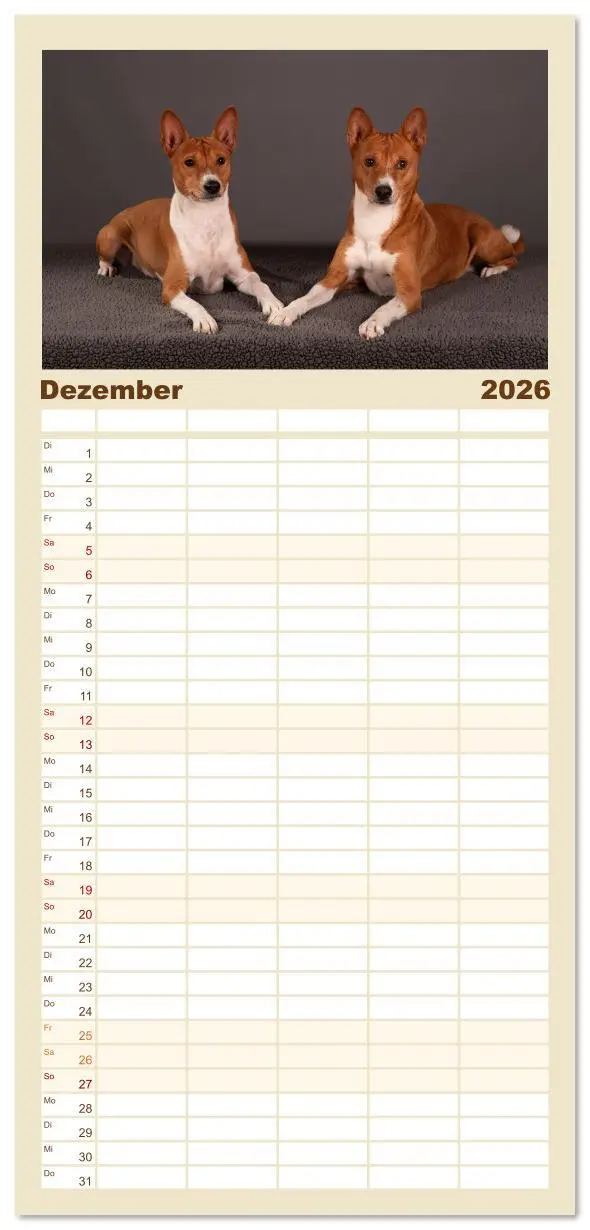 Bild: 9783516606782 | Familienplaner 2026 - Der Basenji mit 5 Spalten (Wandkalender, 21 x...