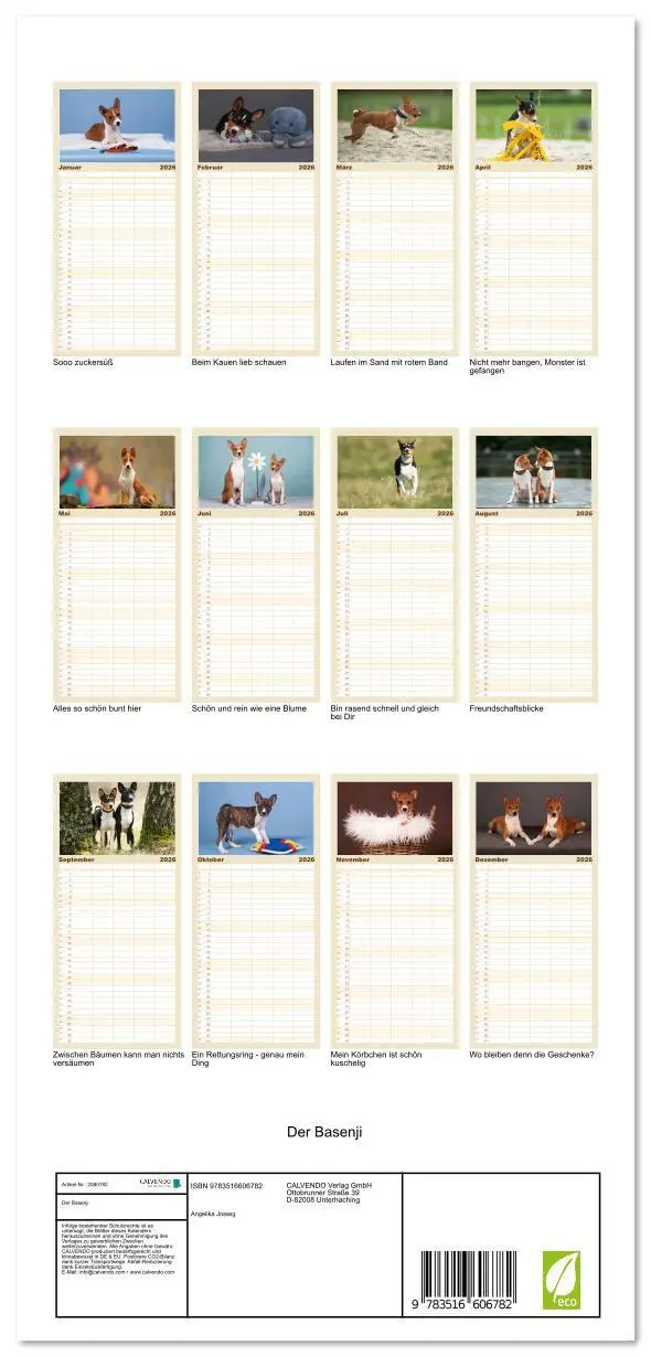 Bild: 9783516606782 | Familienplaner 2026 - Der Basenji mit 5 Spalten (Wandkalender, 21 x...