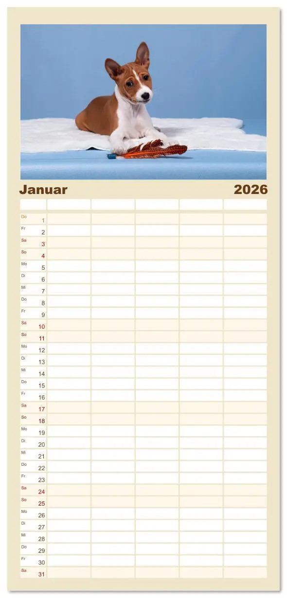Bild: 9783516606782 | Familienplaner 2026 - Der Basenji mit 5 Spalten (Wandkalender, 21 x...