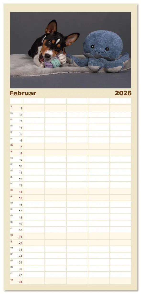 Bild: 9783516606782 | Familienplaner 2026 - Der Basenji mit 5 Spalten (Wandkalender, 21 x...