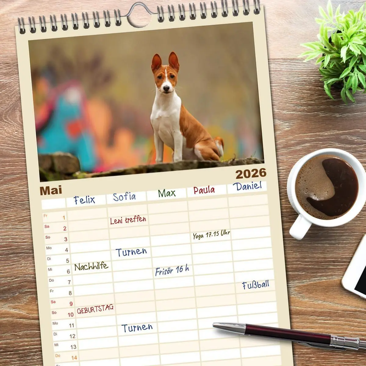 Bild: 9783516606782 | Familienplaner 2026 - Der Basenji mit 5 Spalten (Wandkalender, 21 x...