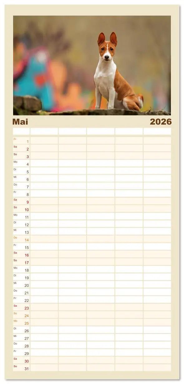 Bild: 9783516606782 | Familienplaner 2026 - Der Basenji mit 5 Spalten (Wandkalender, 21 x...