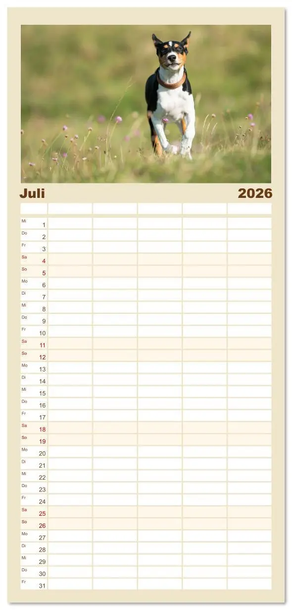 Bild: 9783516606782 | Familienplaner 2026 - Der Basenji mit 5 Spalten (Wandkalender, 21 x...