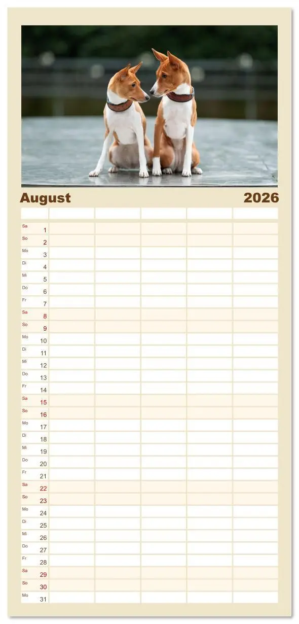Bild: 9783516606782 | Familienplaner 2026 - Der Basenji mit 5 Spalten (Wandkalender, 21 x...