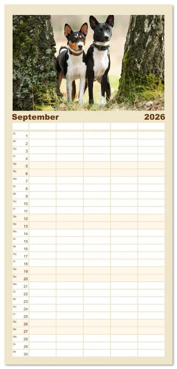 Bild: 9783516606782 | Familienplaner 2026 - Der Basenji mit 5 Spalten (Wandkalender, 21 x...