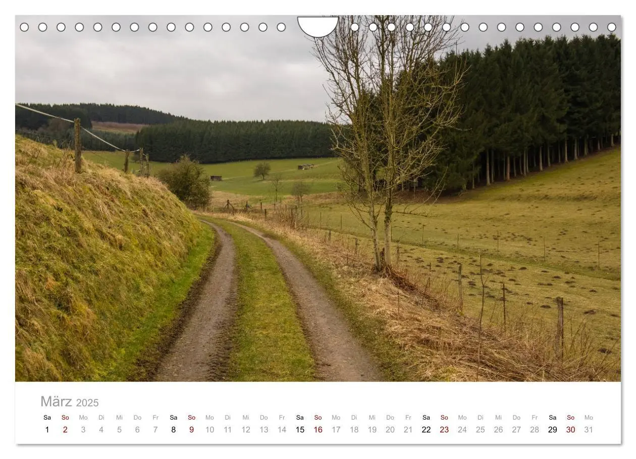 Bild: 9783435406982 | Stadt Plettenberg (Wandkalender 2025 DIN A4 quer), CALVENDO...