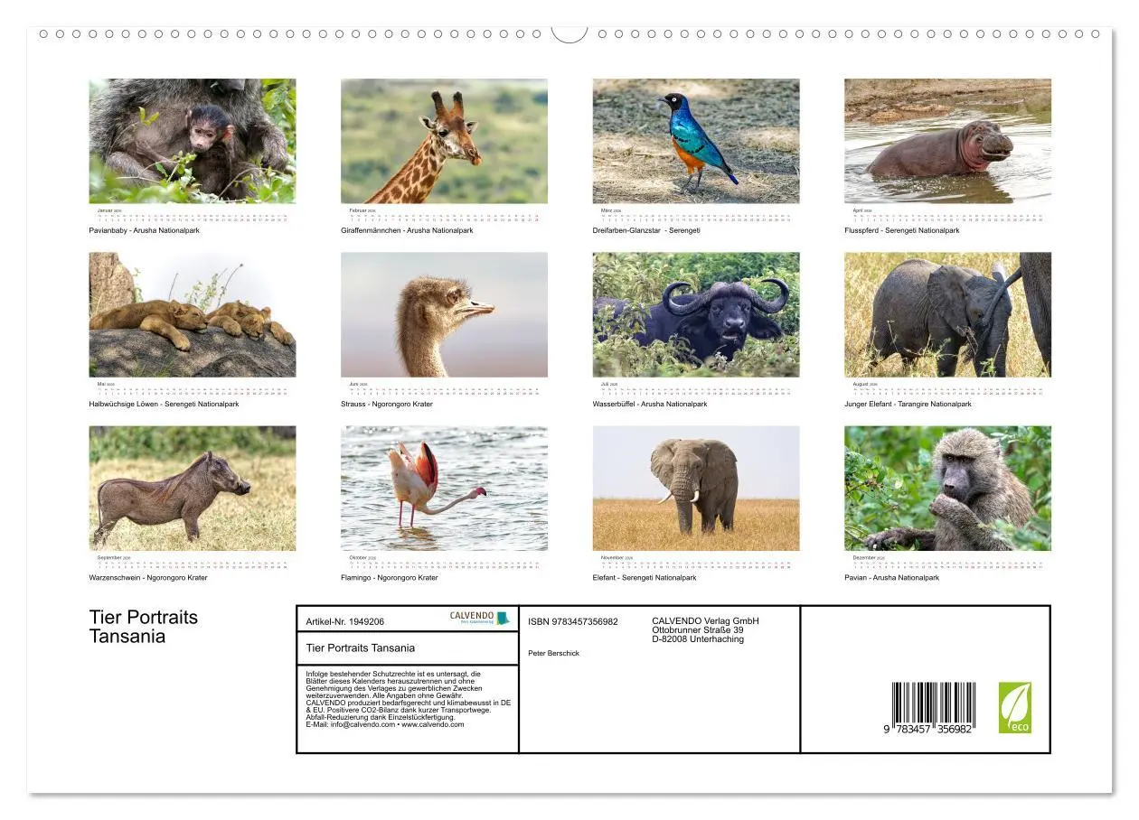 Bild: 9783457356982 | Tier Portraits Tansania (hochwertiger Premium Wandkalender 2026 DIN...