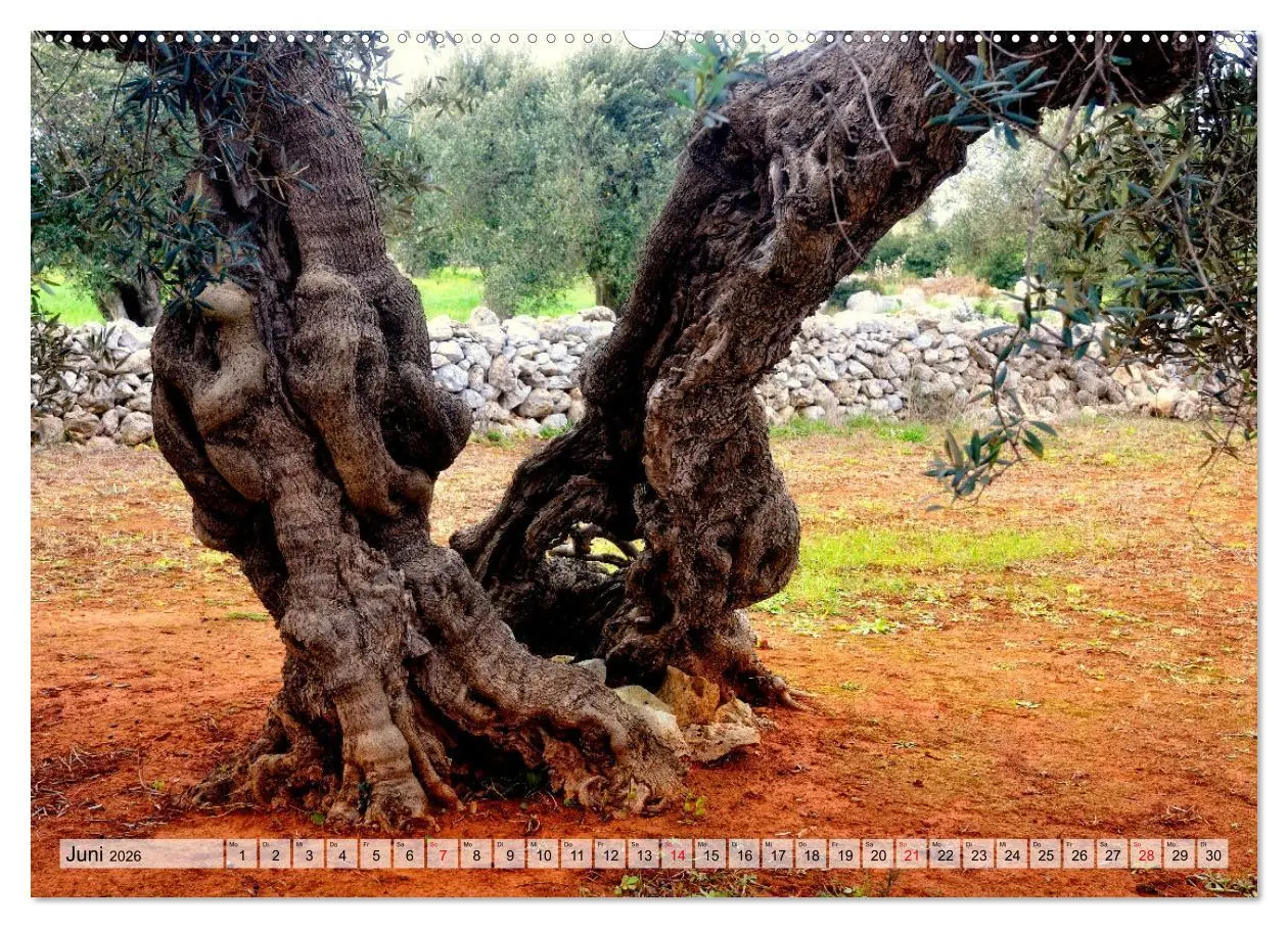 Bild: 9783457596982 | il Salento Kulturlandschaft zwischen zwei Meeren (Wandkalender 2026...