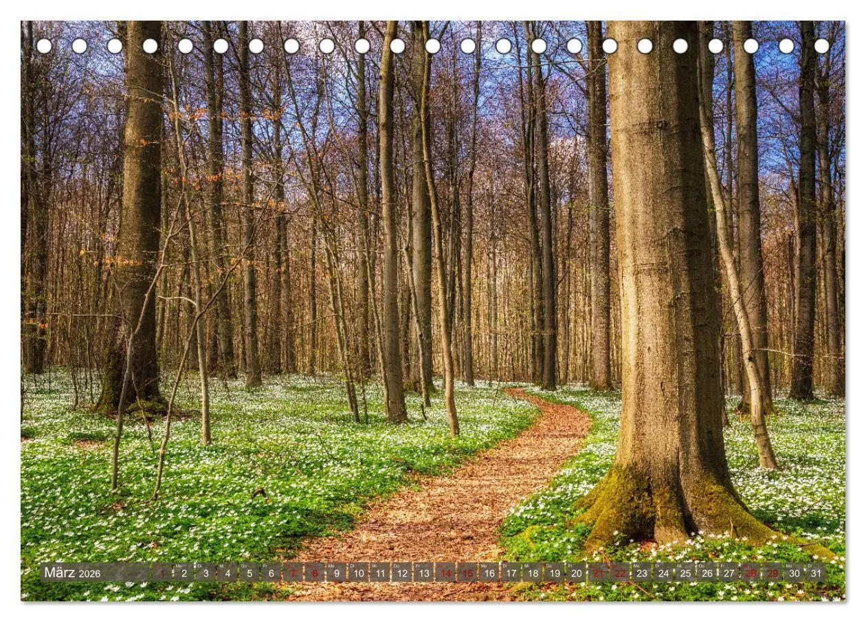 Bild: 9783457736982 | Wege zur Entspannung 2026 (Tischkalender 2026 DIN A5 quer),...