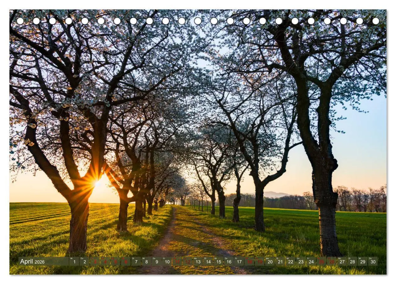 Bild: 9783457736982 | Wege zur Entspannung 2026 (Tischkalender 2026 DIN A5 quer),...