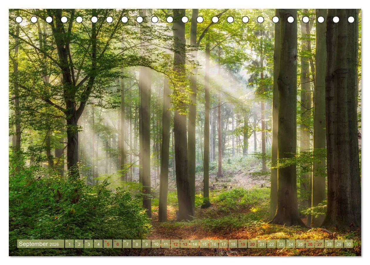 Bild: 9783457736982 | Wege zur Entspannung 2026 (Tischkalender 2026 DIN A5 quer),...