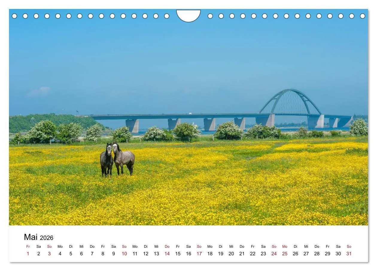 Bild: 9783516136982 | Fehmarn - "fe mer" natürlich "am Meer gelegen" (Wandkalender 2026...