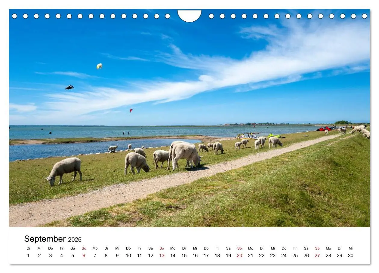 Bild: 9783516136982 | Fehmarn - "fe mer" natürlich "am Meer gelegen" (Wandkalender 2026...