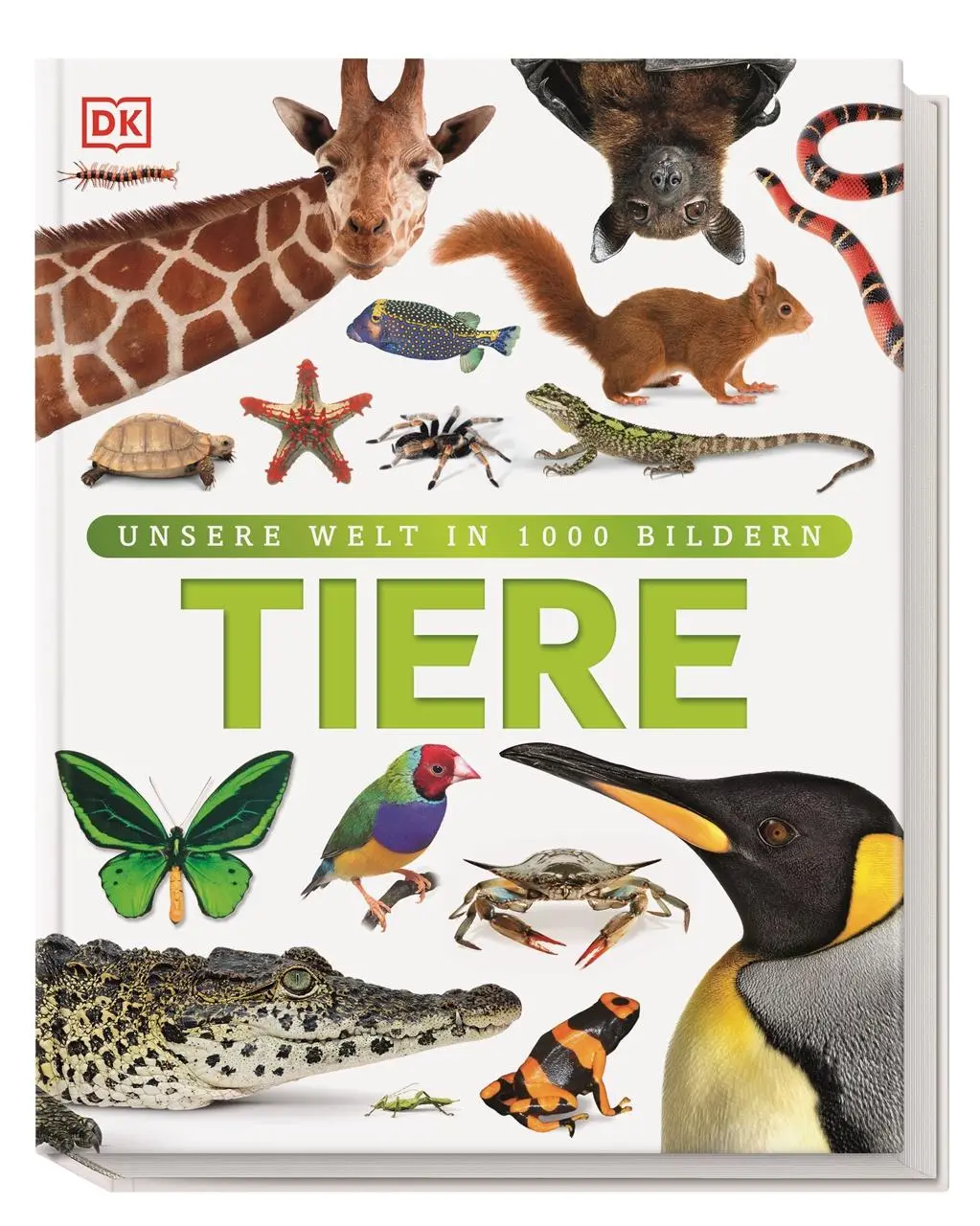 Cover: 9783831026982 | Tiere | Säugetiere, Vögel, Fische, Reptilien und Insekten | Burnie