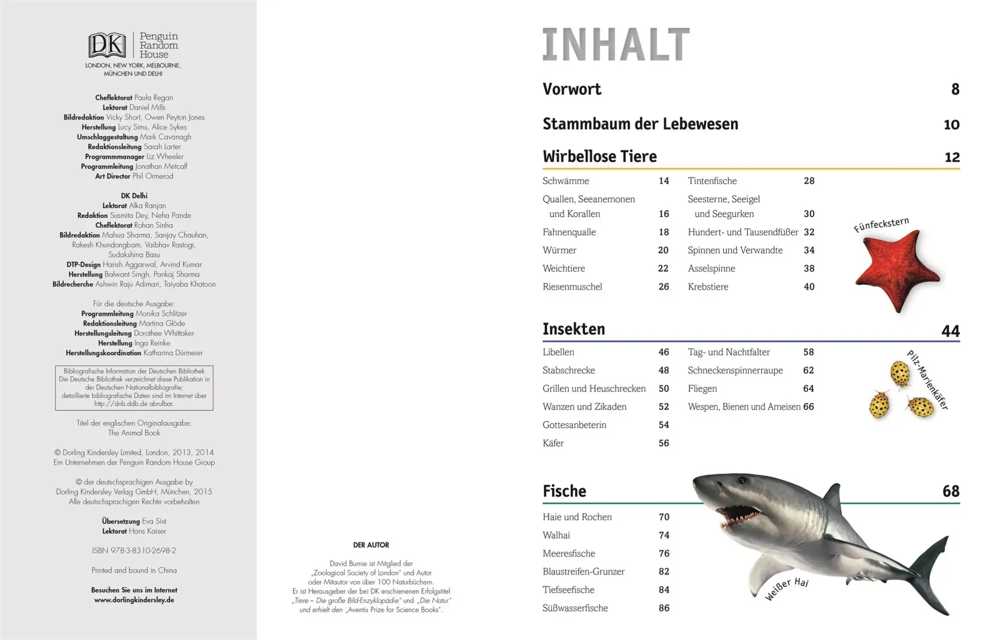Bild: 9783831026982 | Tiere | Säugetiere, Vögel, Fische, Reptilien und Insekten | Burnie