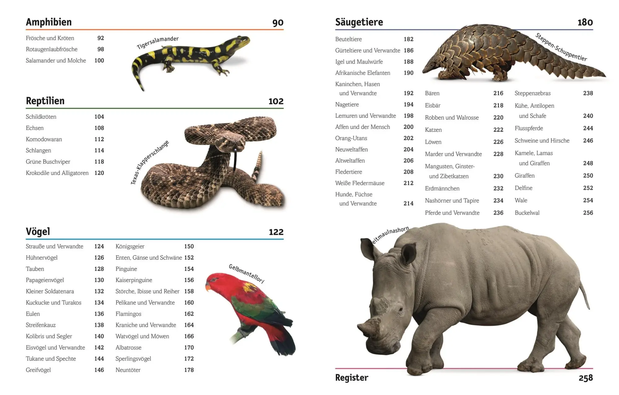 Bild: 9783831026982 | Tiere | Säugetiere, Vögel, Fische, Reptilien und Insekten | Burnie