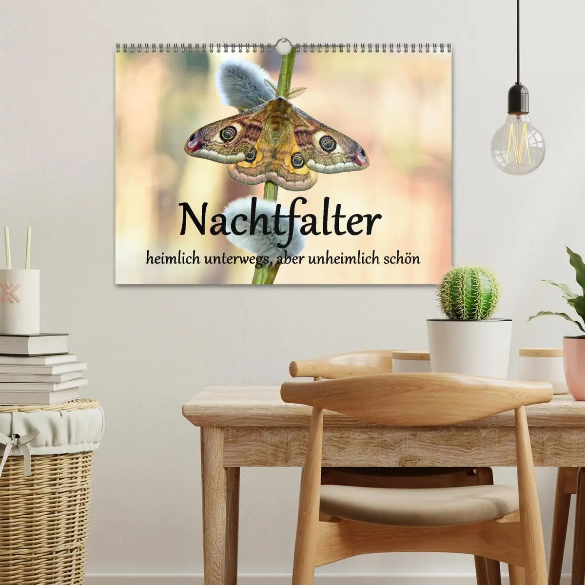 Bild: 9783457487082 | Nachtfalter - heimlich unterwegs, aber unheimlich schön...