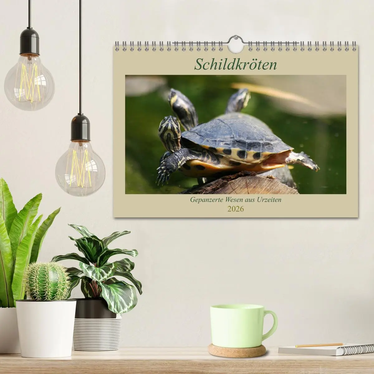 Bild: 9783457867082 | Schildkröten - Gepanzerte Wesen aus Urzeiten (Wandkalender 2026 DIN...