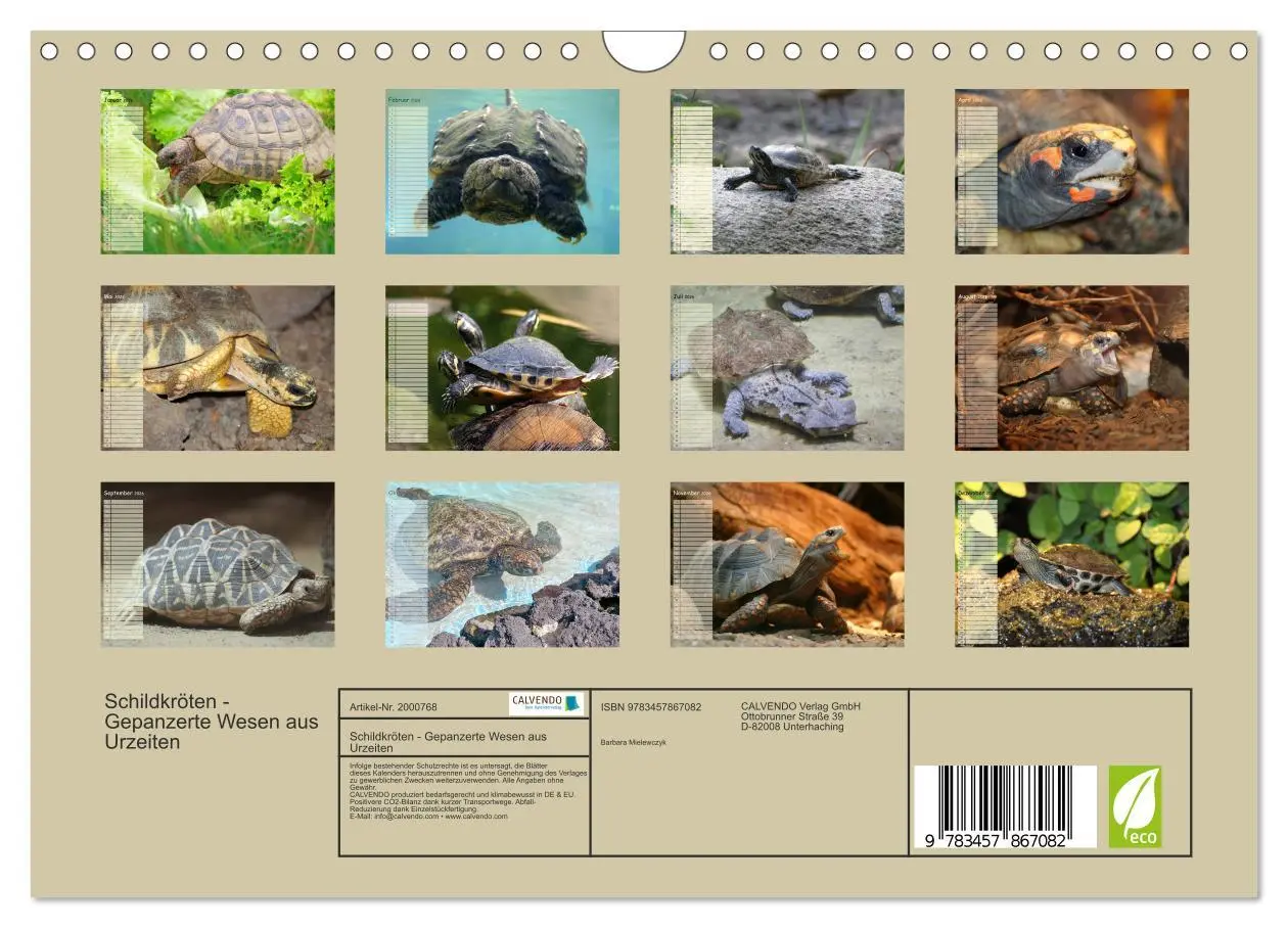 Bild: 9783457867082 | Schildkröten - Gepanzerte Wesen aus Urzeiten (Wandkalender 2026 DIN...