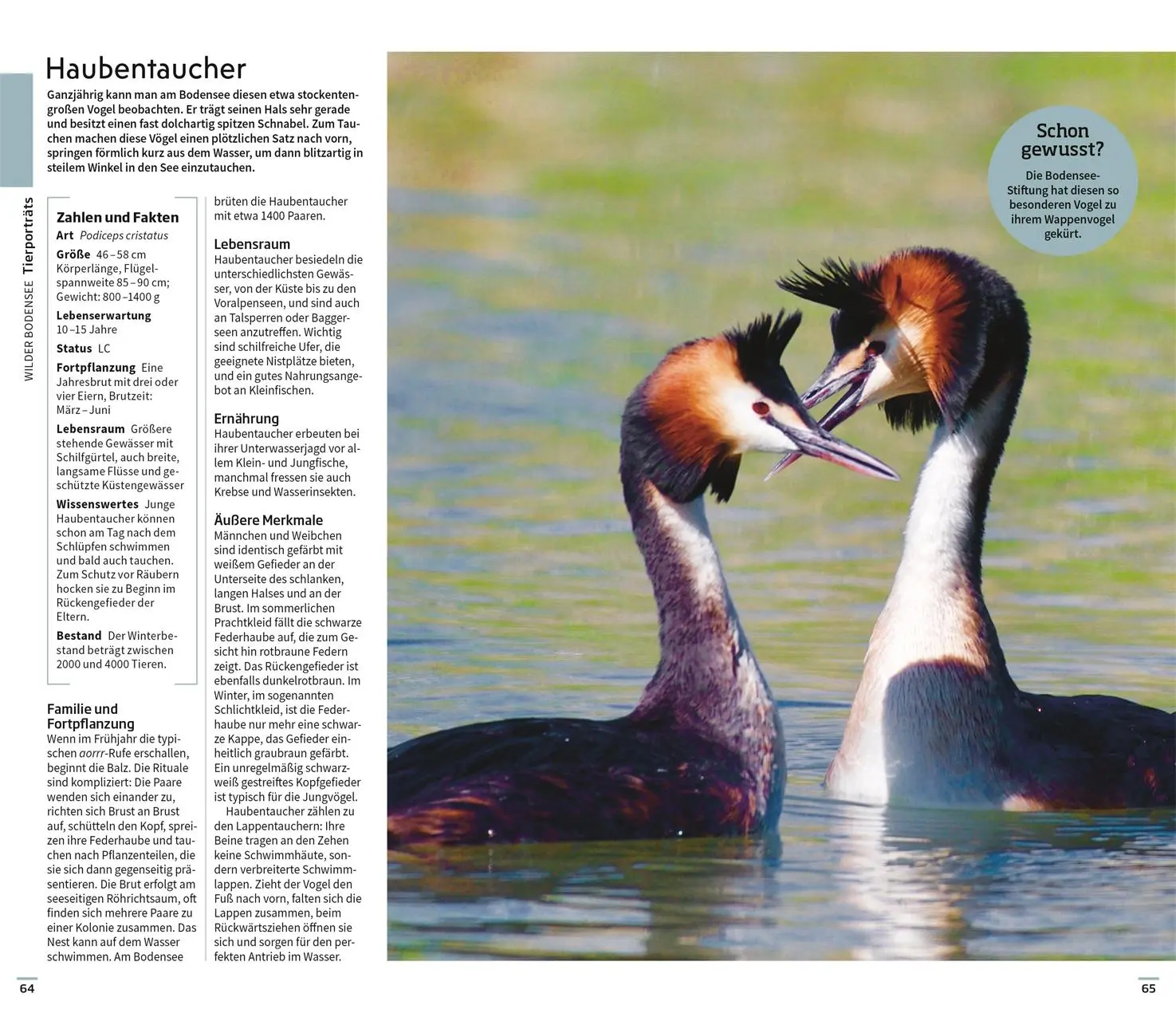 Bild: 9783734207082 | Vis-à-Vis Reiseführer Bodensee | DK Verlag - Reise | Taschenbuch