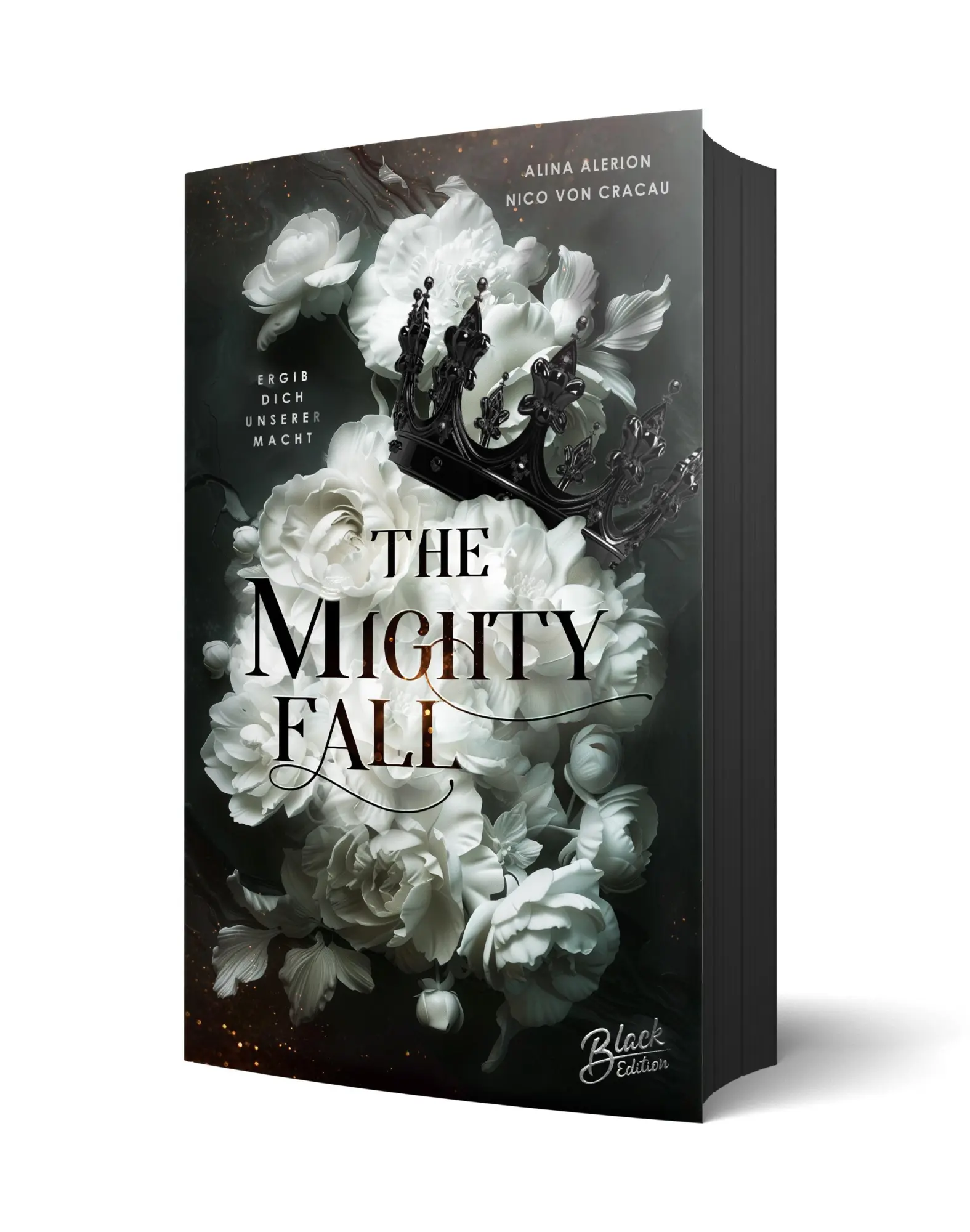 Cover: 9783989427082 | The Mighty Fall | Alina Alerion (u. a.) | Taschenbuch | Deutsch | 2025